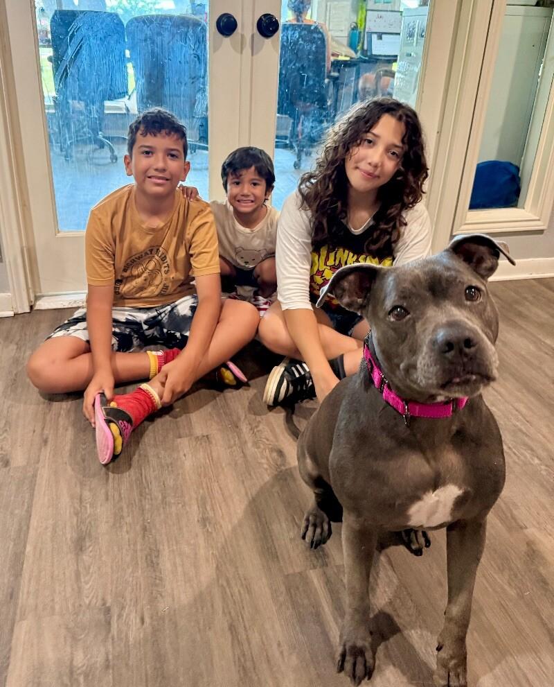 Lola Lovebug your Soulmate on Four Paws — thumbnail 2