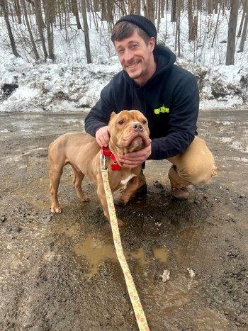 Enlarge Francis, a ADOPTABLE mixed breed in Bedford Hills, NY image 5/6