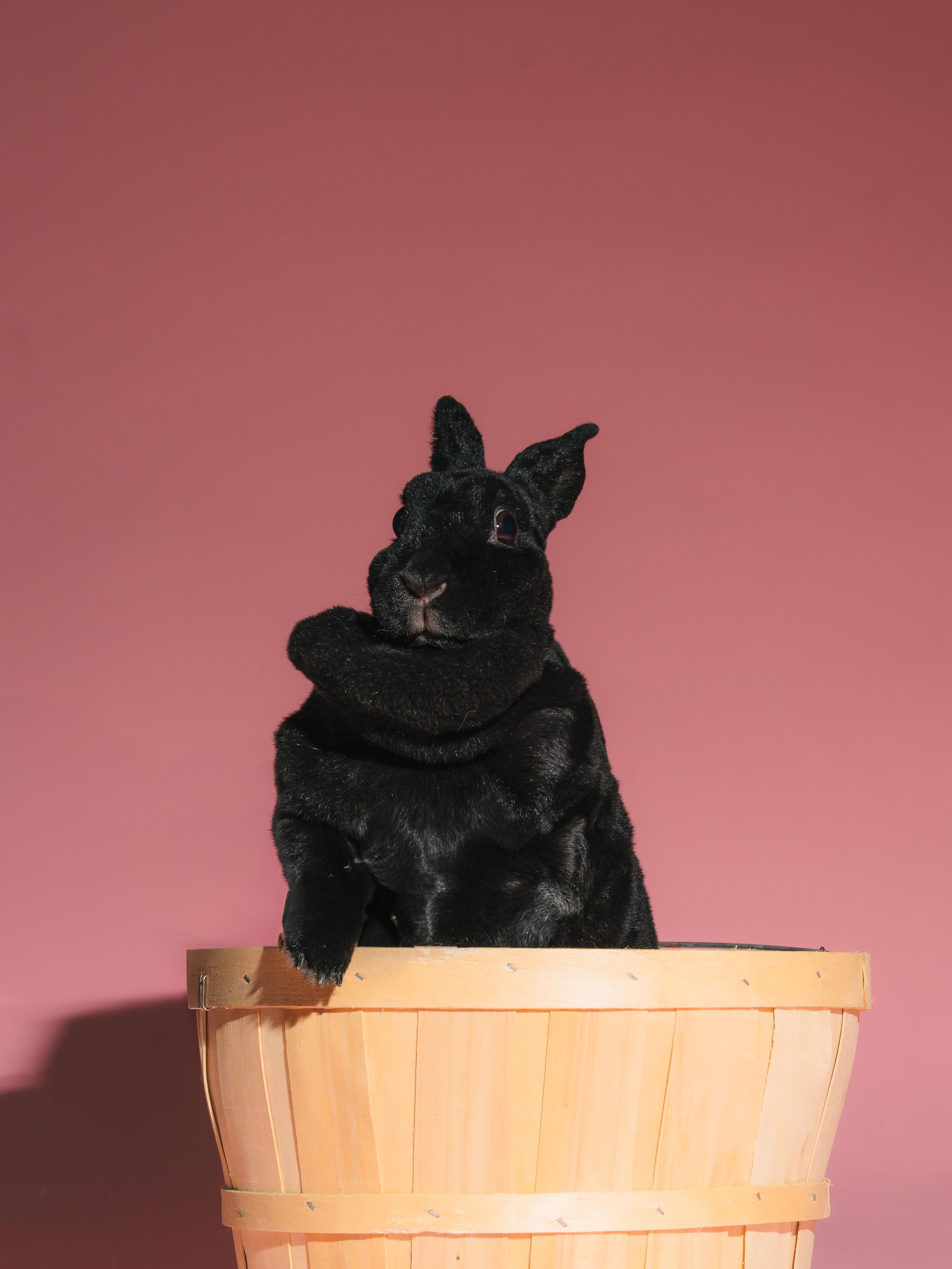 Tilly 3