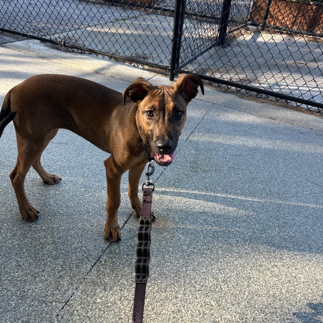 Lexi — thumbnail 2