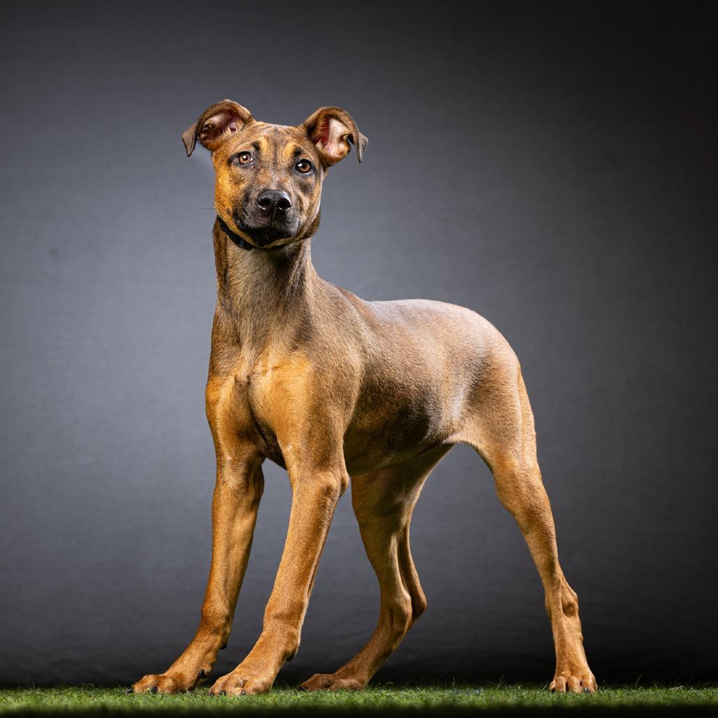 Lexi — thumbnail 3