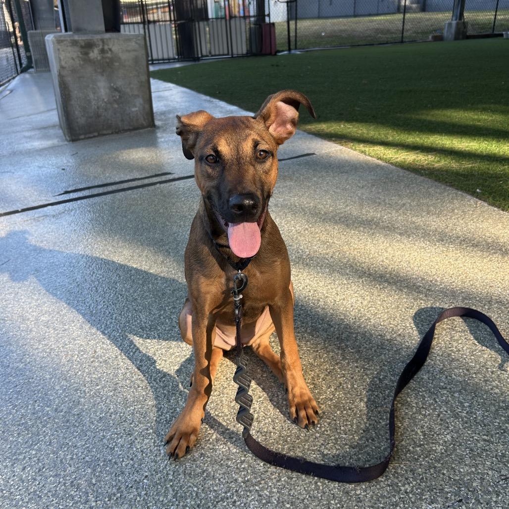 Lexi — thumbnail 4