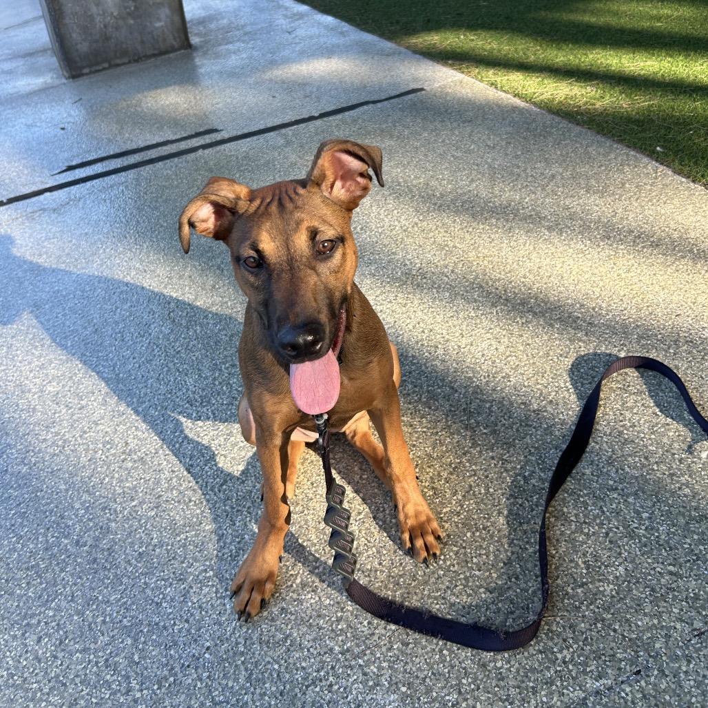 Lexi — thumbnail 5