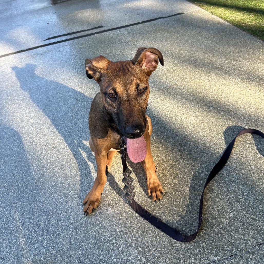 Lexi — thumbnail 6