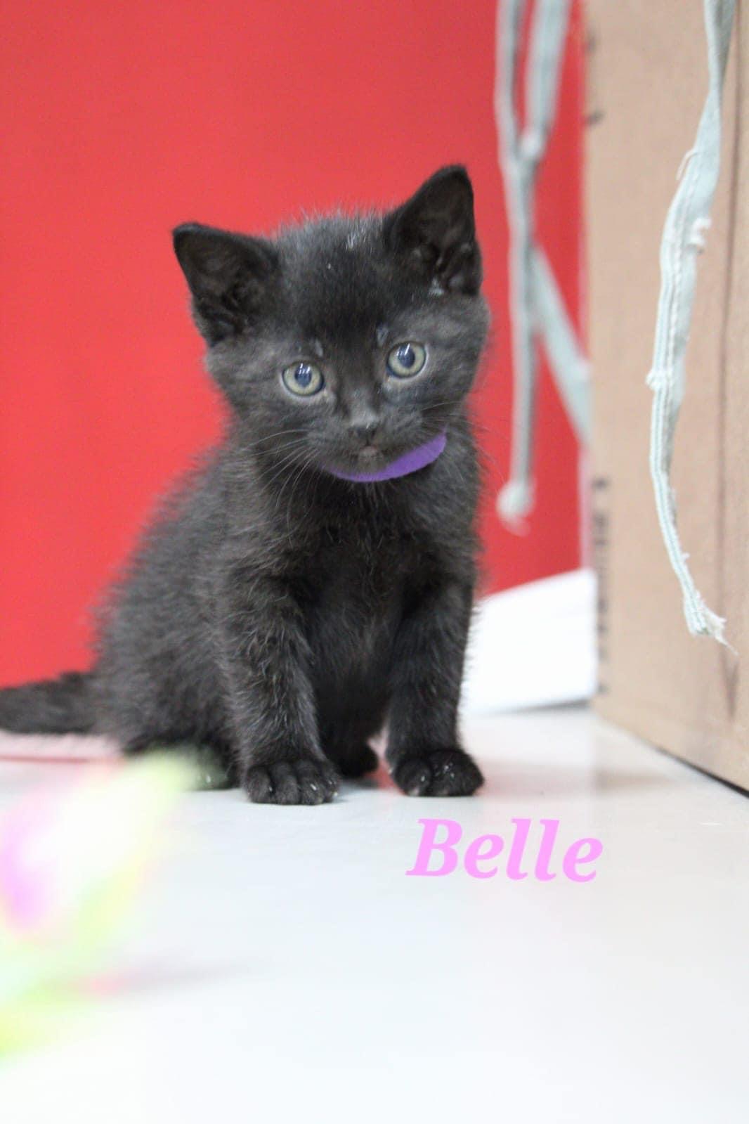 Belle