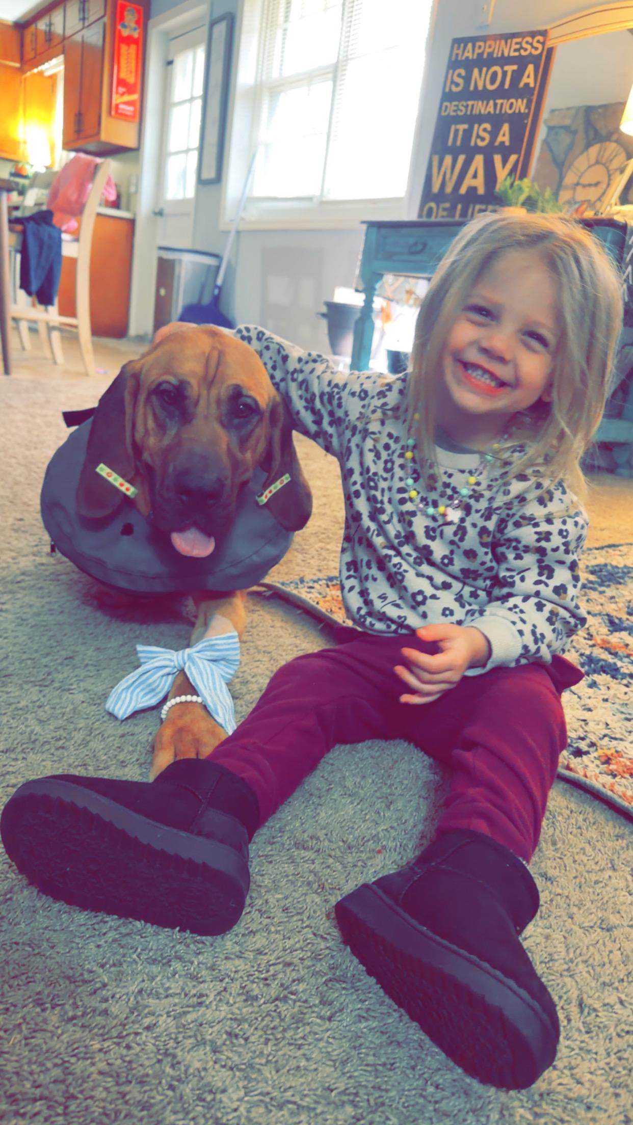 Enlarge Amelia, a ADOPTABLE Bloodhound in Oxford, GA image 3/4