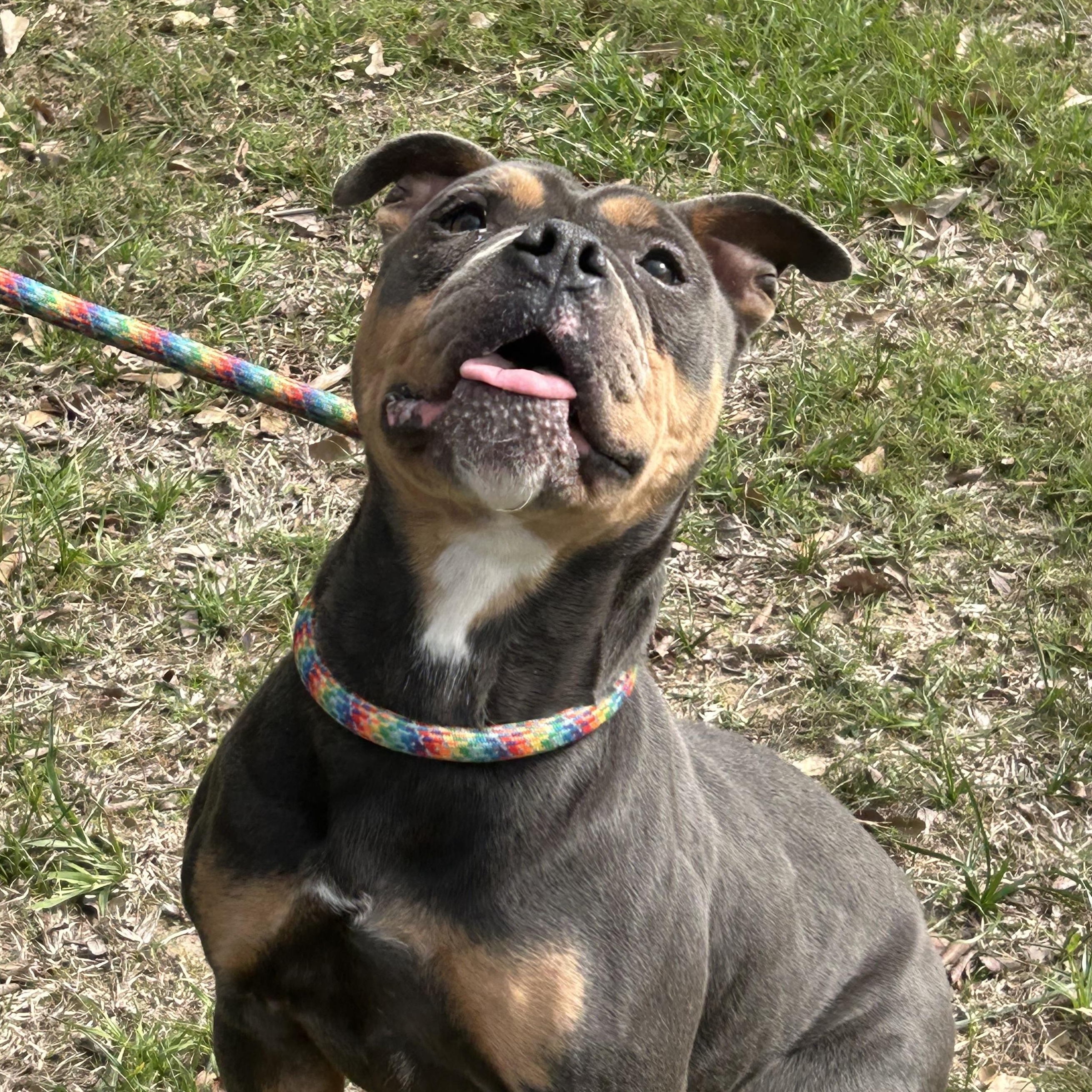 Chunk — thumbnail 3