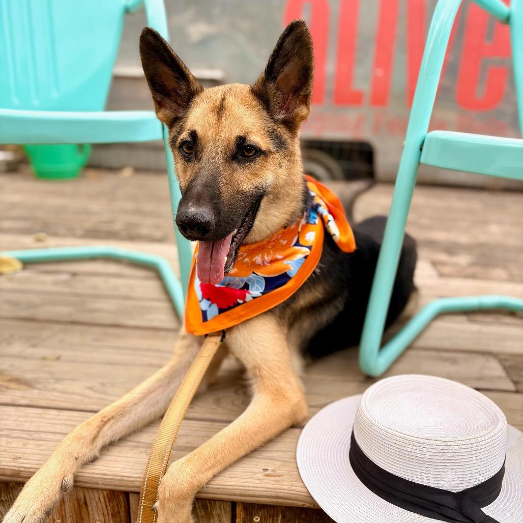 Andy — thumbnail 2