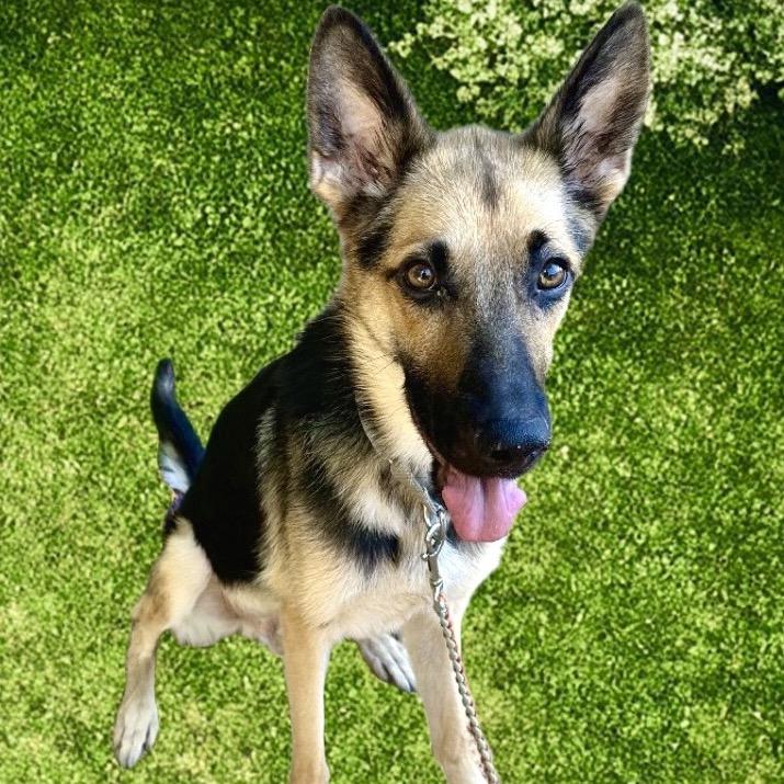 Andy — thumbnail 3