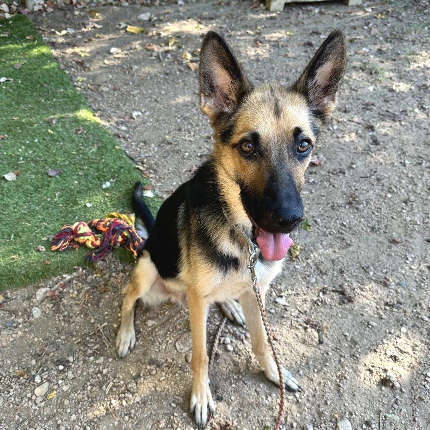 Andy — thumbnail 5