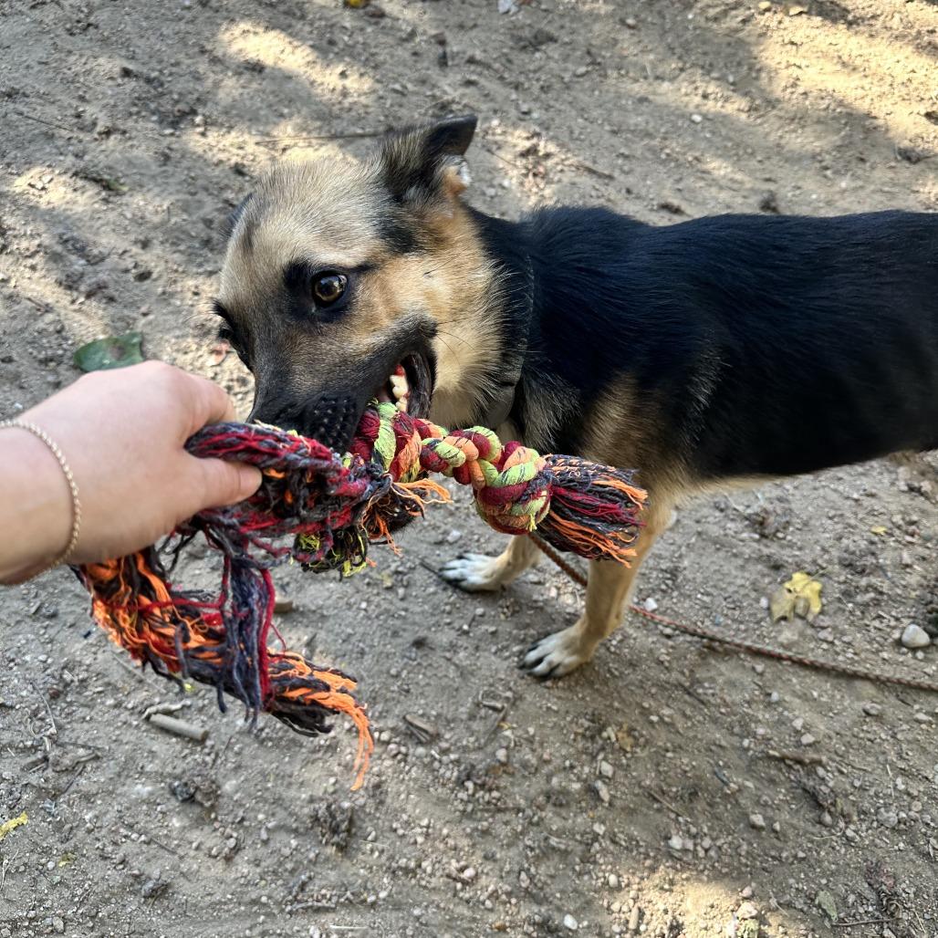 Andy — thumbnail 6