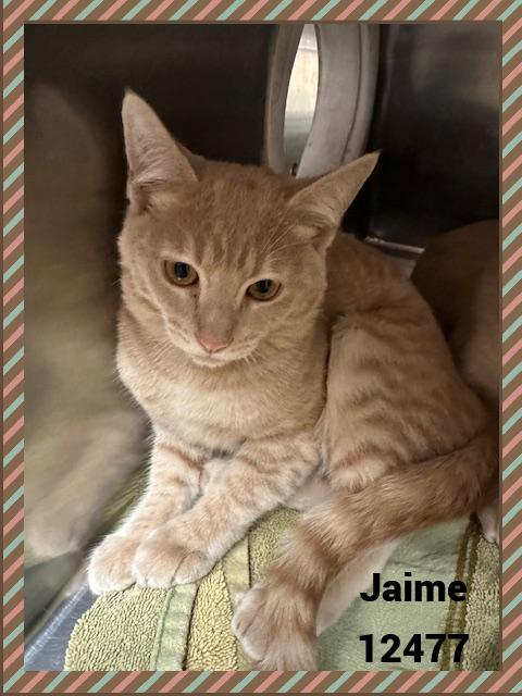 JAIME