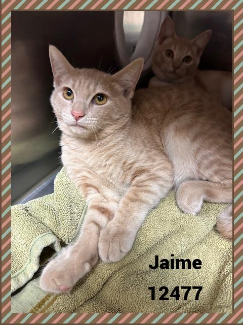 JAIME