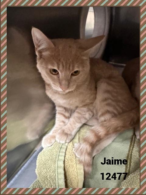 JAIME