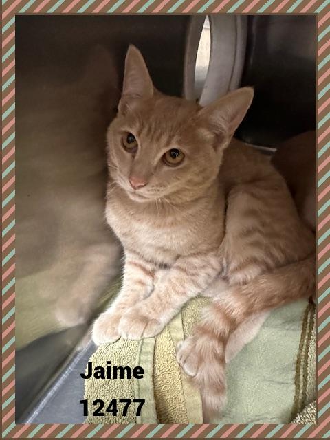 JAIME