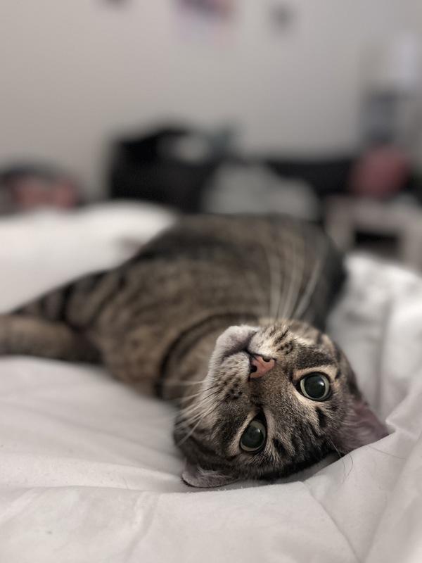 Starr — thumbnail 2