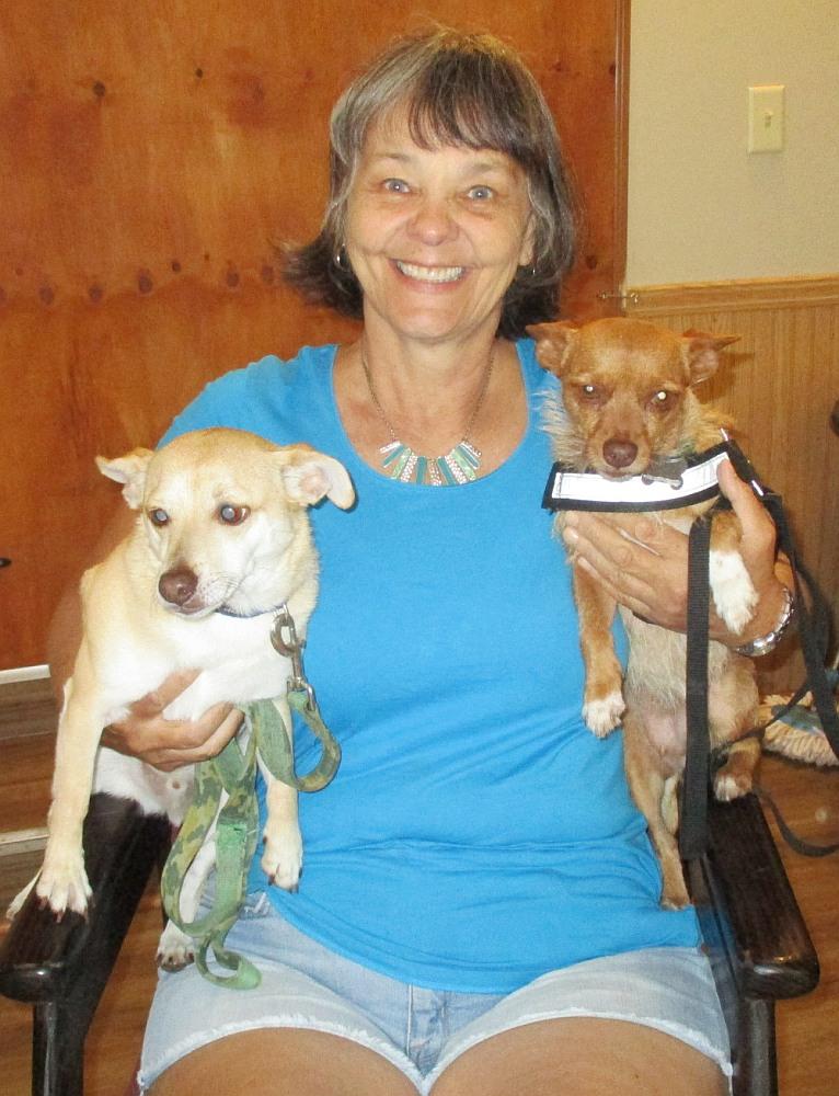 Sissy, a Adopted mixed breed in Camden, SC image 1/6