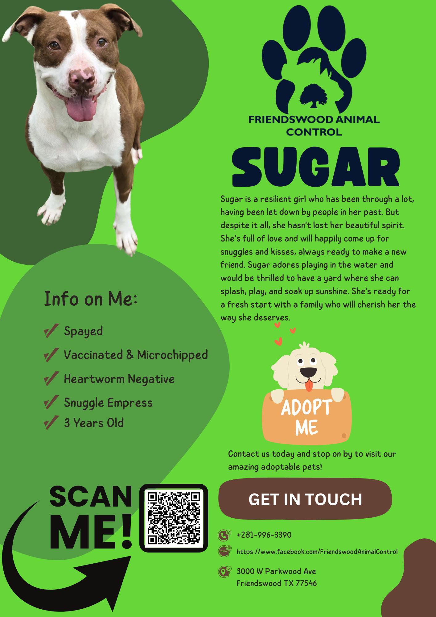Sugar 2