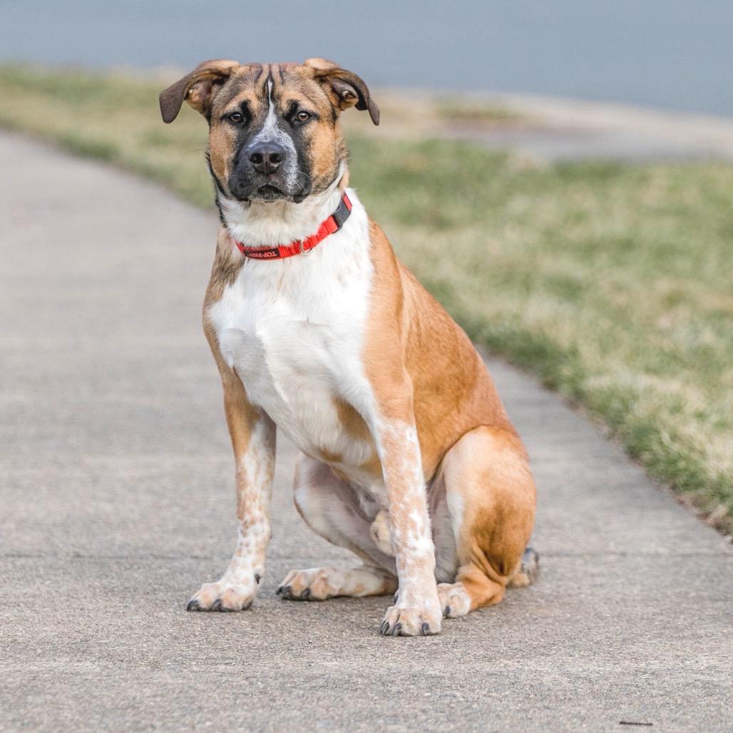 Tucker — thumbnail 2