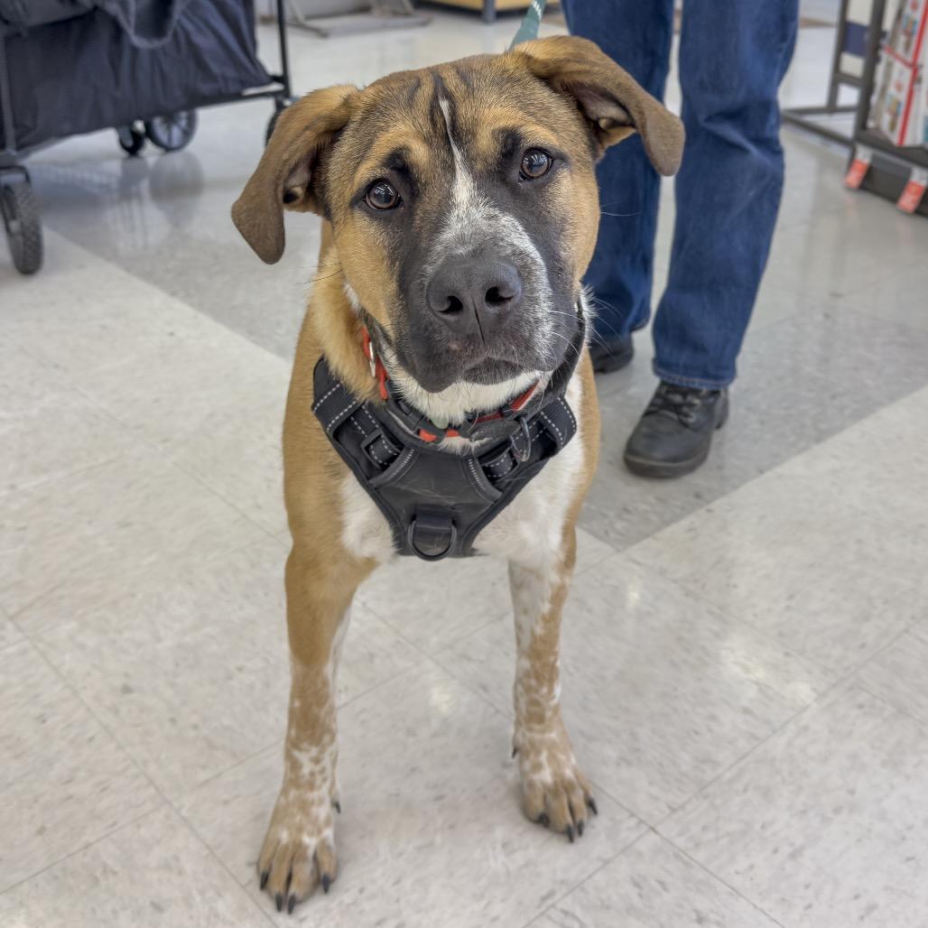 Tucker — thumbnail 4