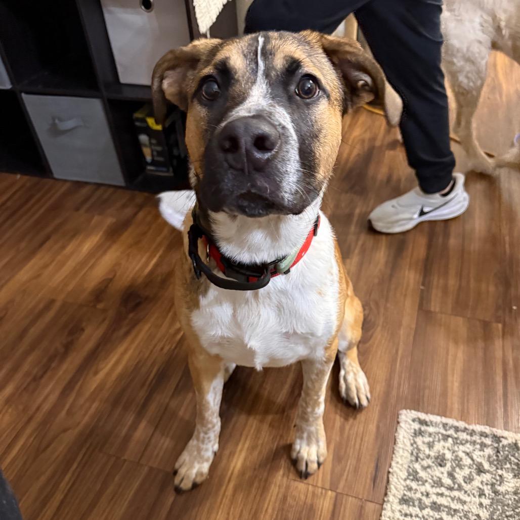 Tucker — thumbnail 5