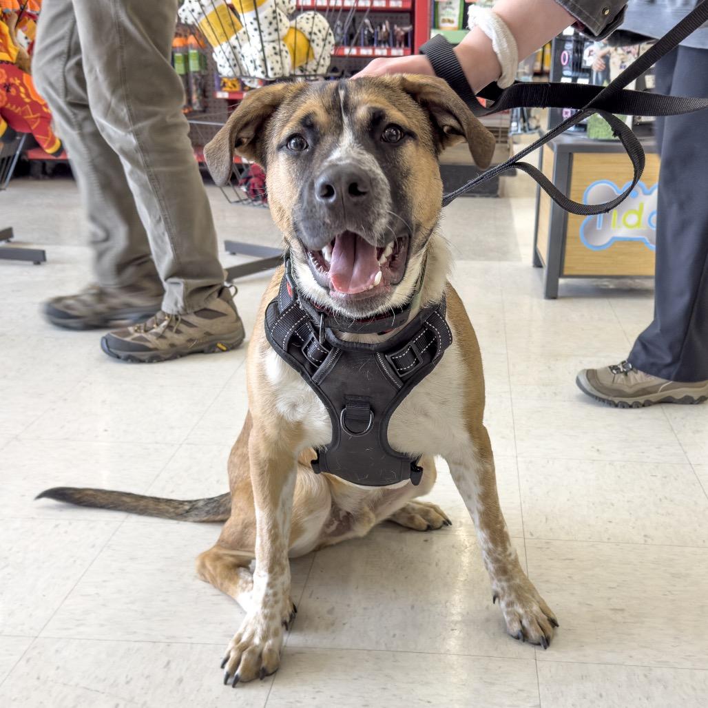 Tucker — thumbnail 6