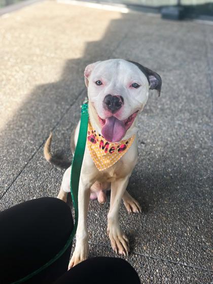 Boo Berry thumbnail 2