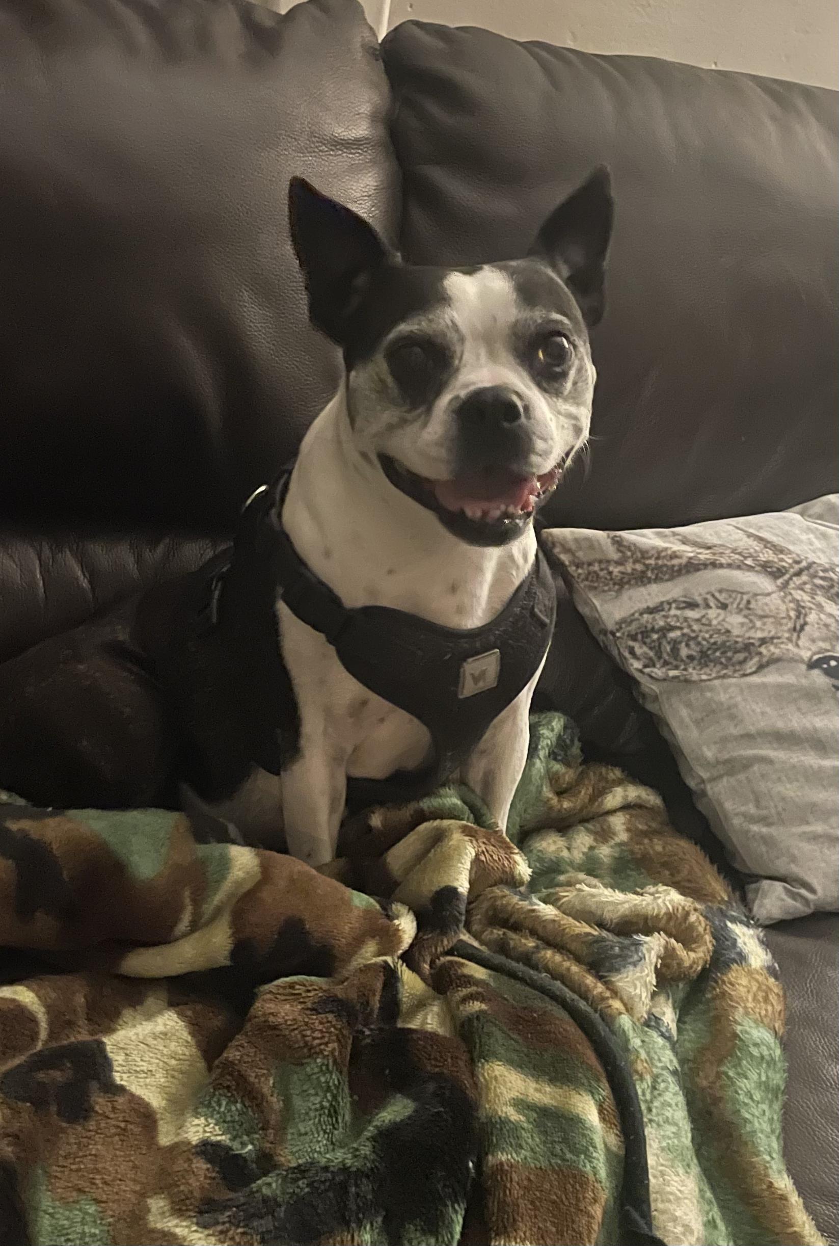 Peggy