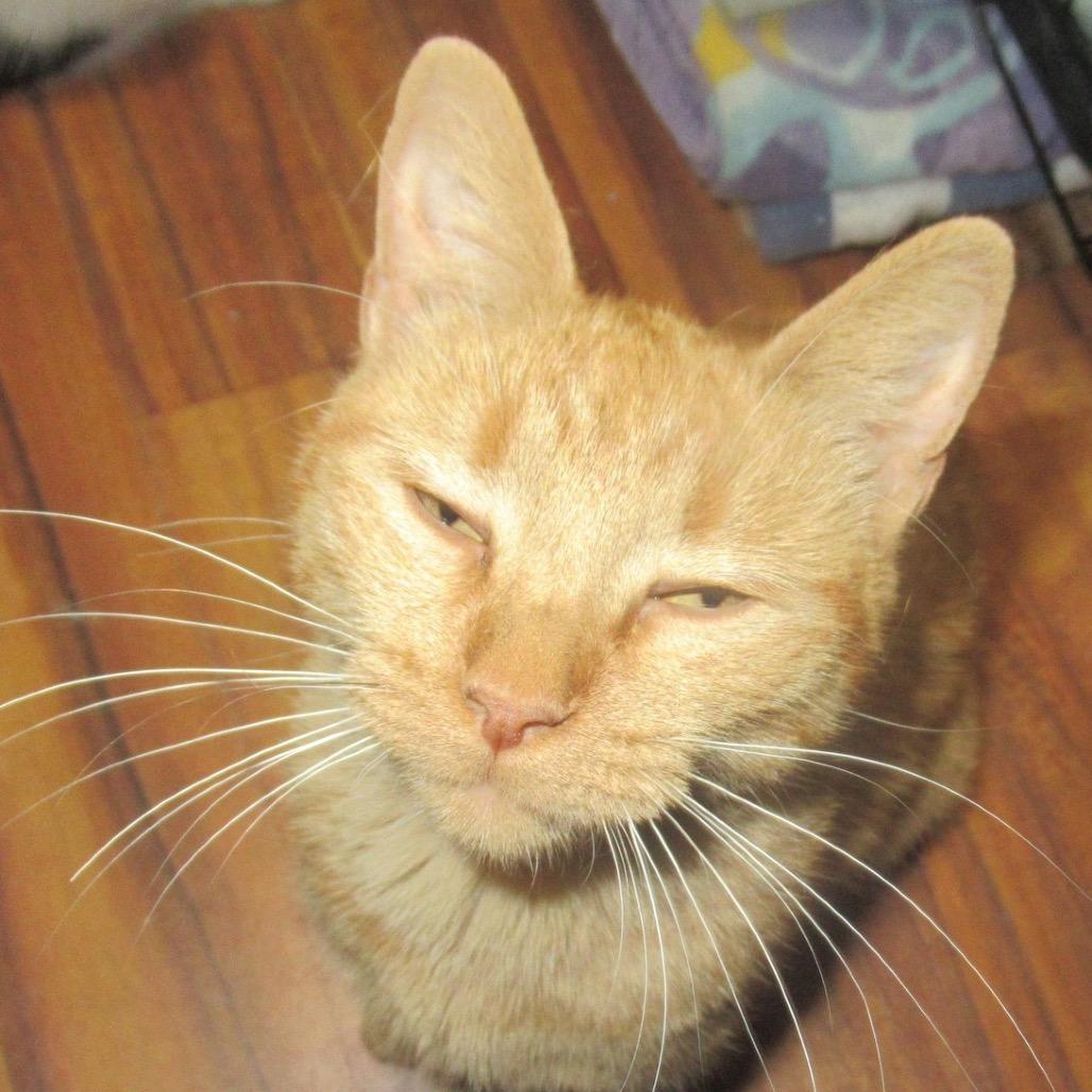 Scrabble — thumbnail 2