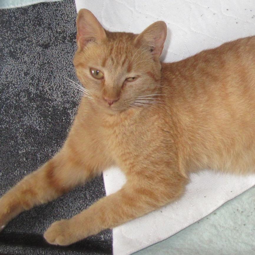 Scrabble — thumbnail 3