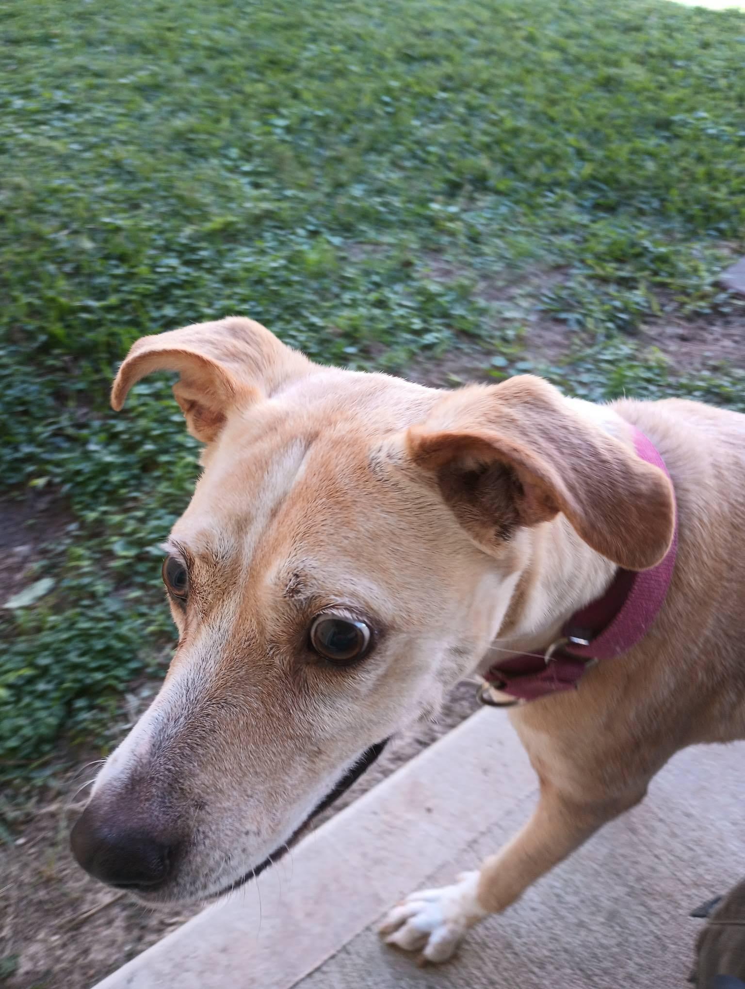 BLIND FAITH — thumbnail 5