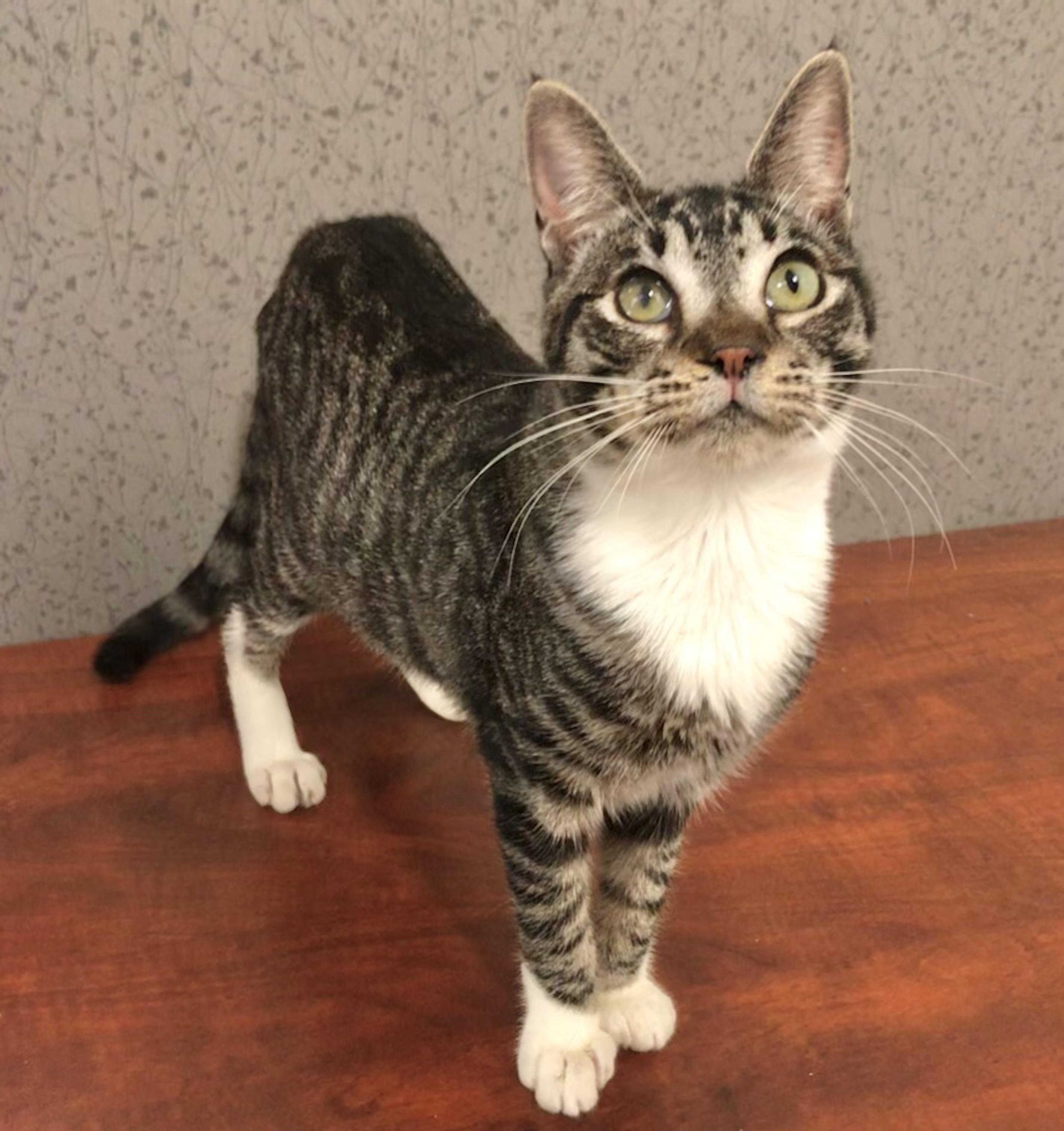 Aurora — thumbnail 3