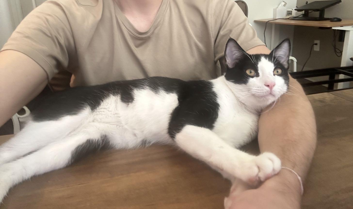 Bryony — thumbnail 4