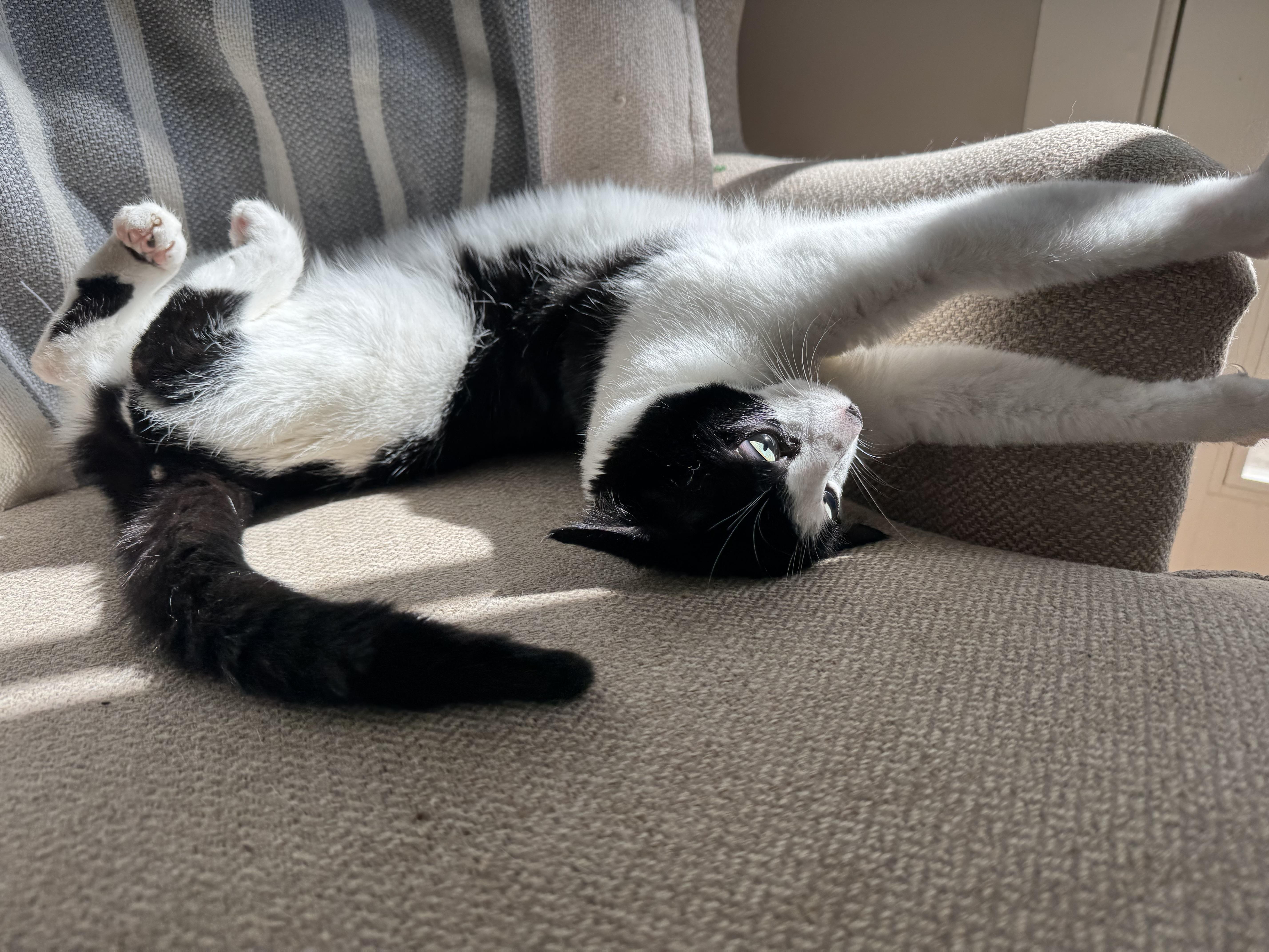 Makamae - Athens, GA