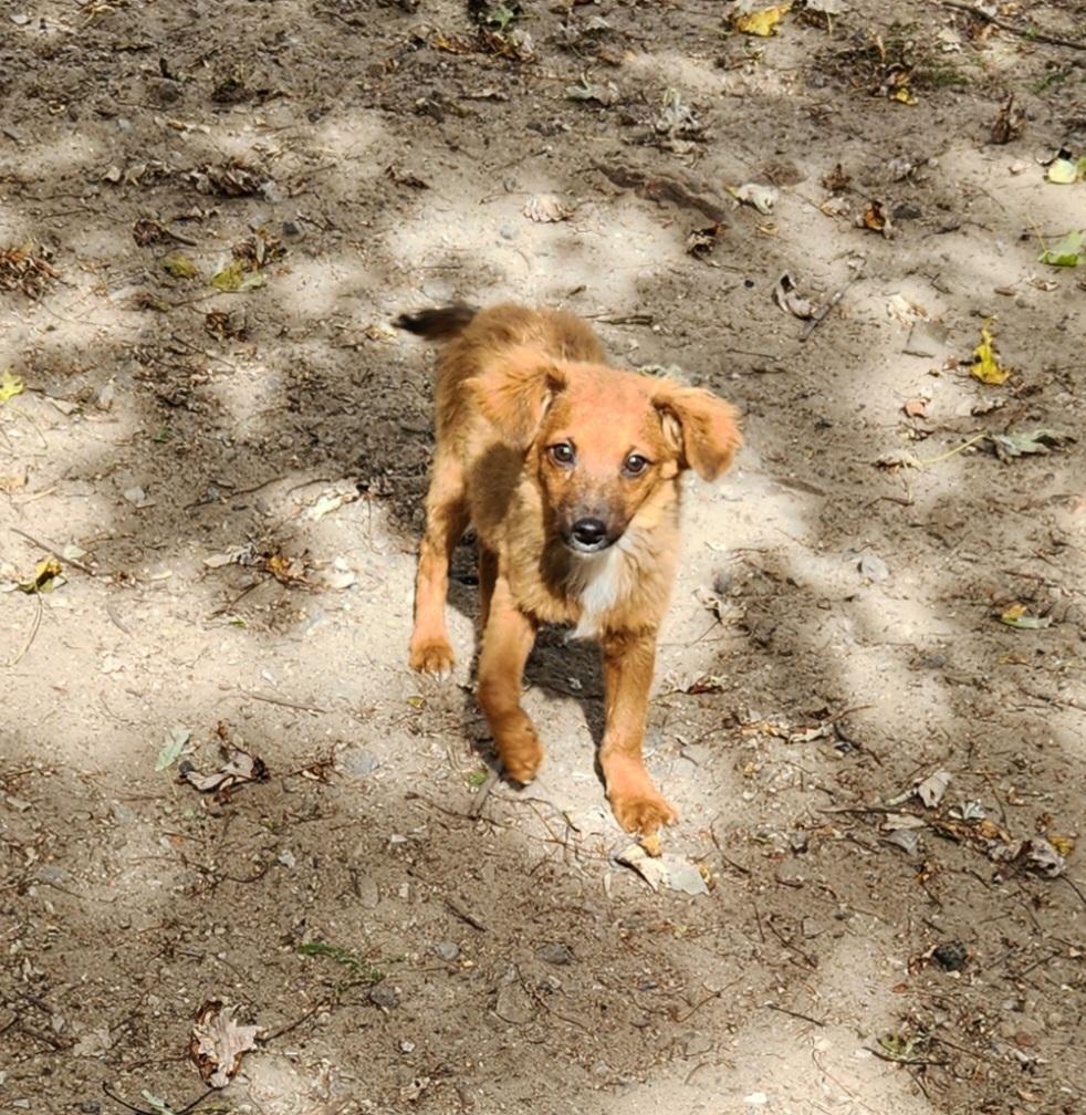 Max