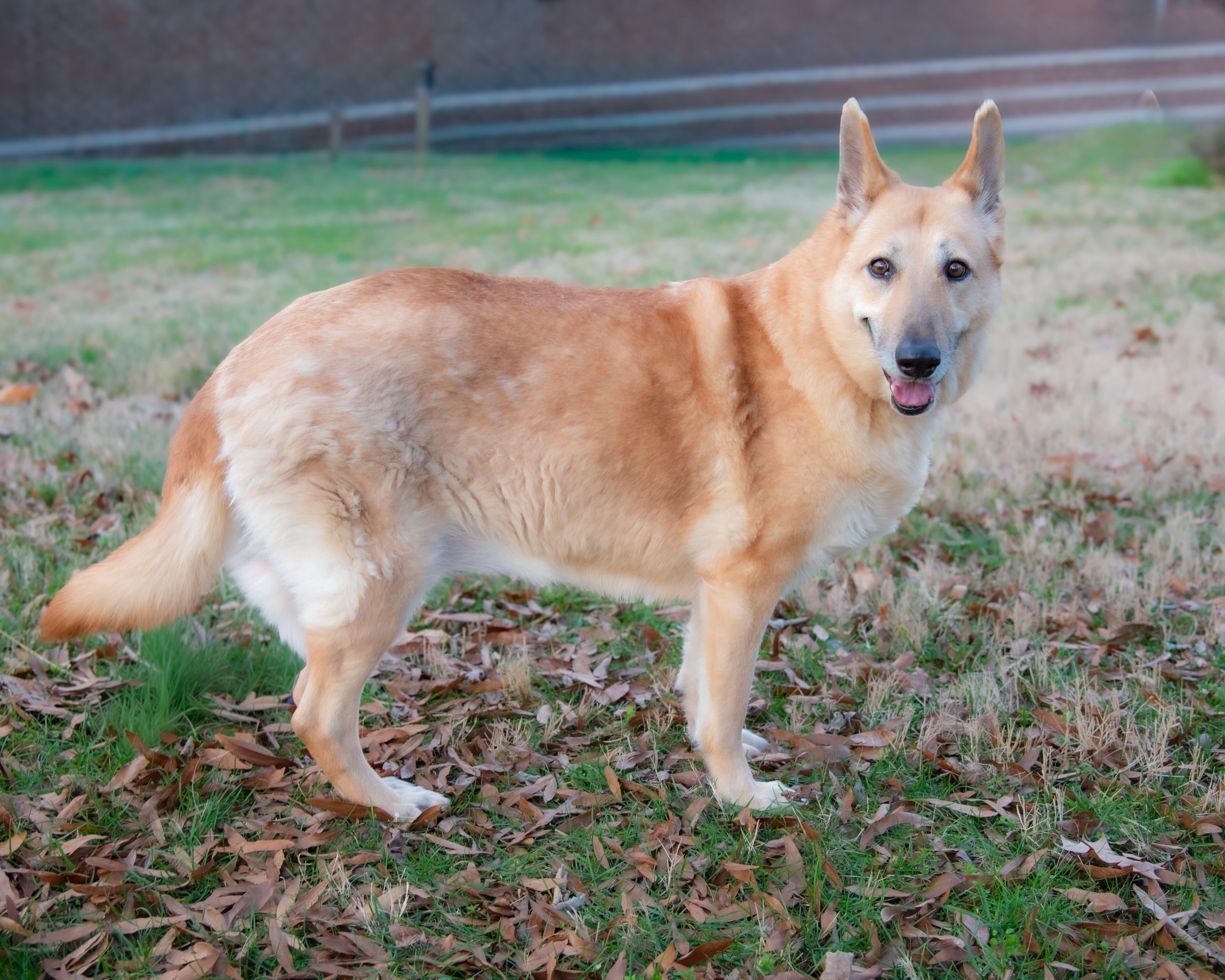 Molly — thumbnail 6