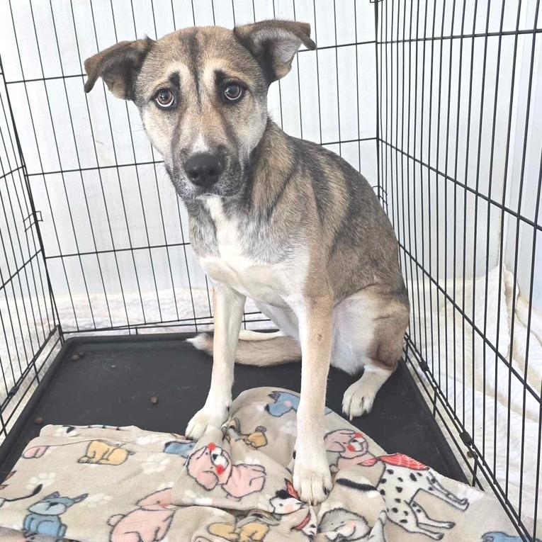 Sasha JuM — thumbnail 2