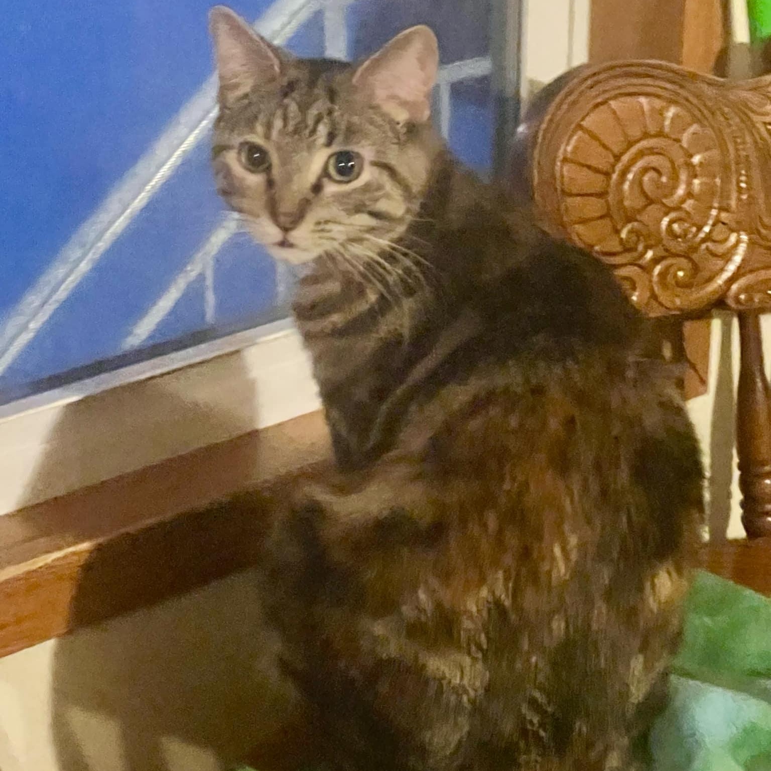 Suzie Q. ***Sweet & Loving ***
