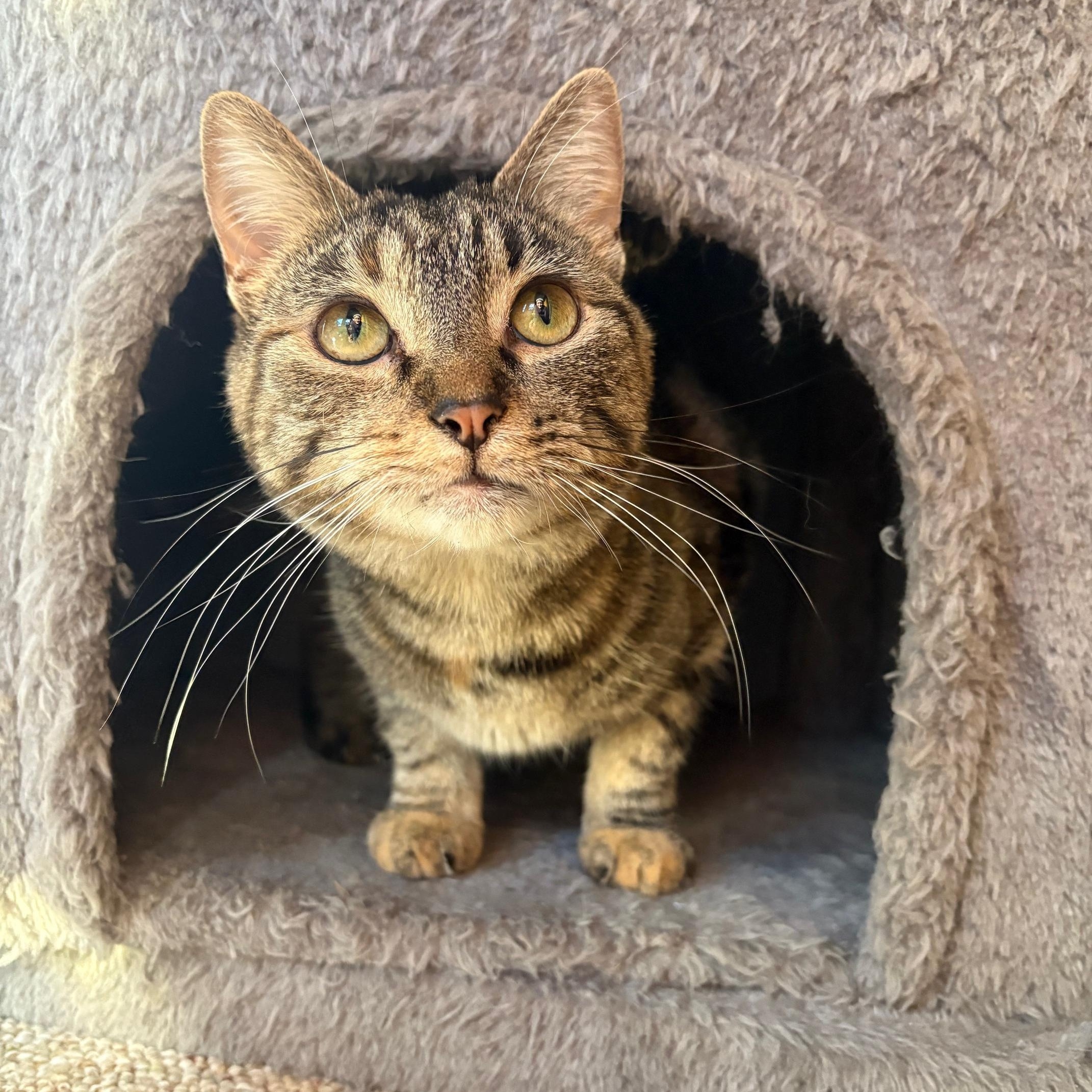 Suzie Q. ***Sweet & Loving ***