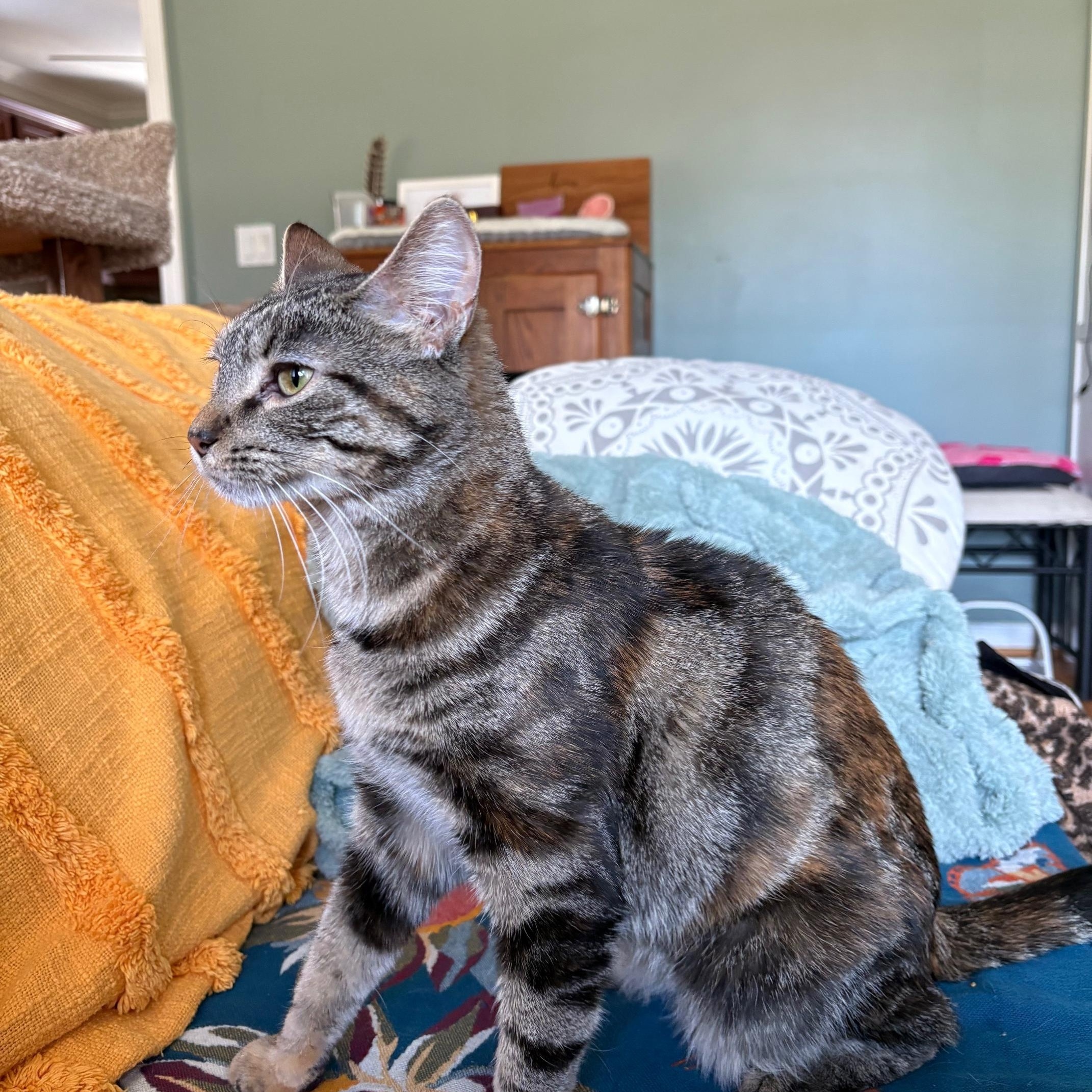 Suzie Q. ***Sweet & Loving ***