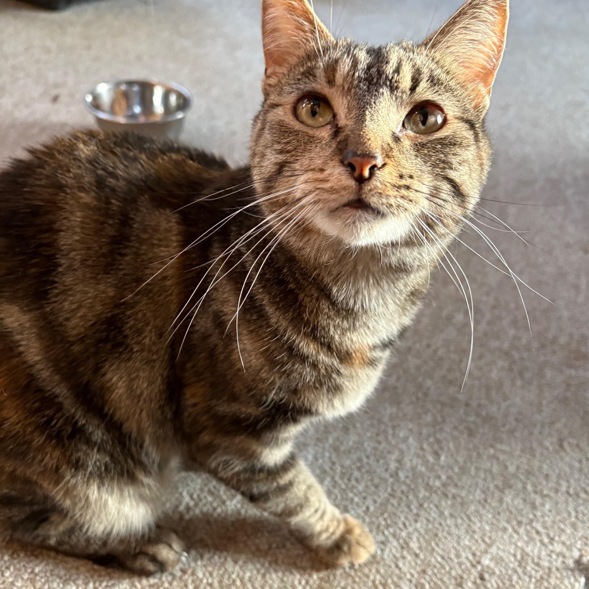 Suzie Q. ***Sweet & Loving ***