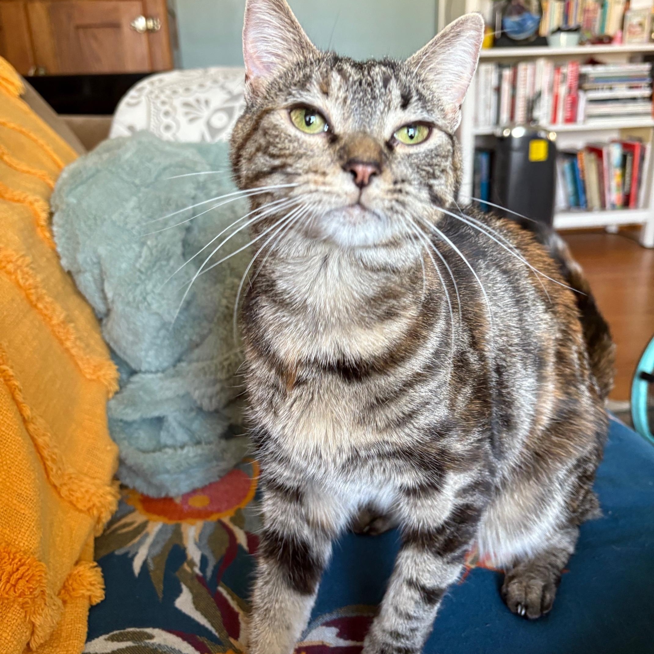 Suzie Q. ***Sweet & Loving ***