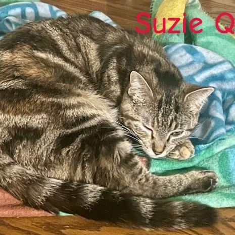 Suzie Q. ***Sweet & Loving ***