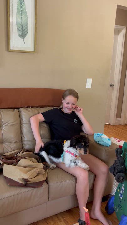 Enlarge Mia, an adopted mixed breed in Corona, CA video 2/3