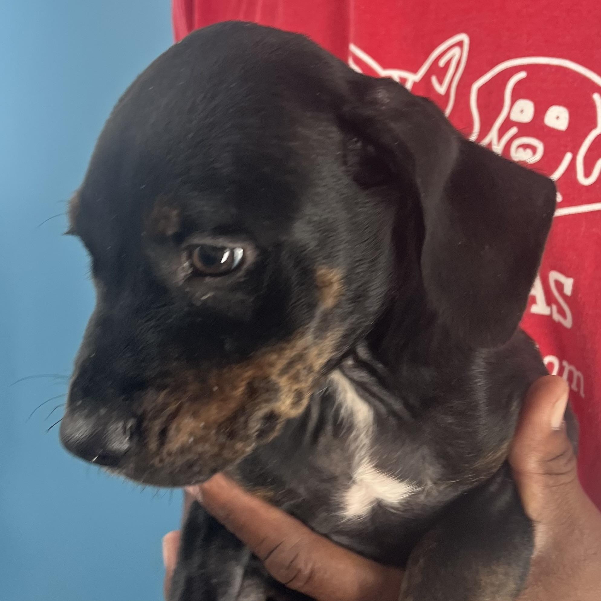 Ragan  Local Oct thumbnail 3