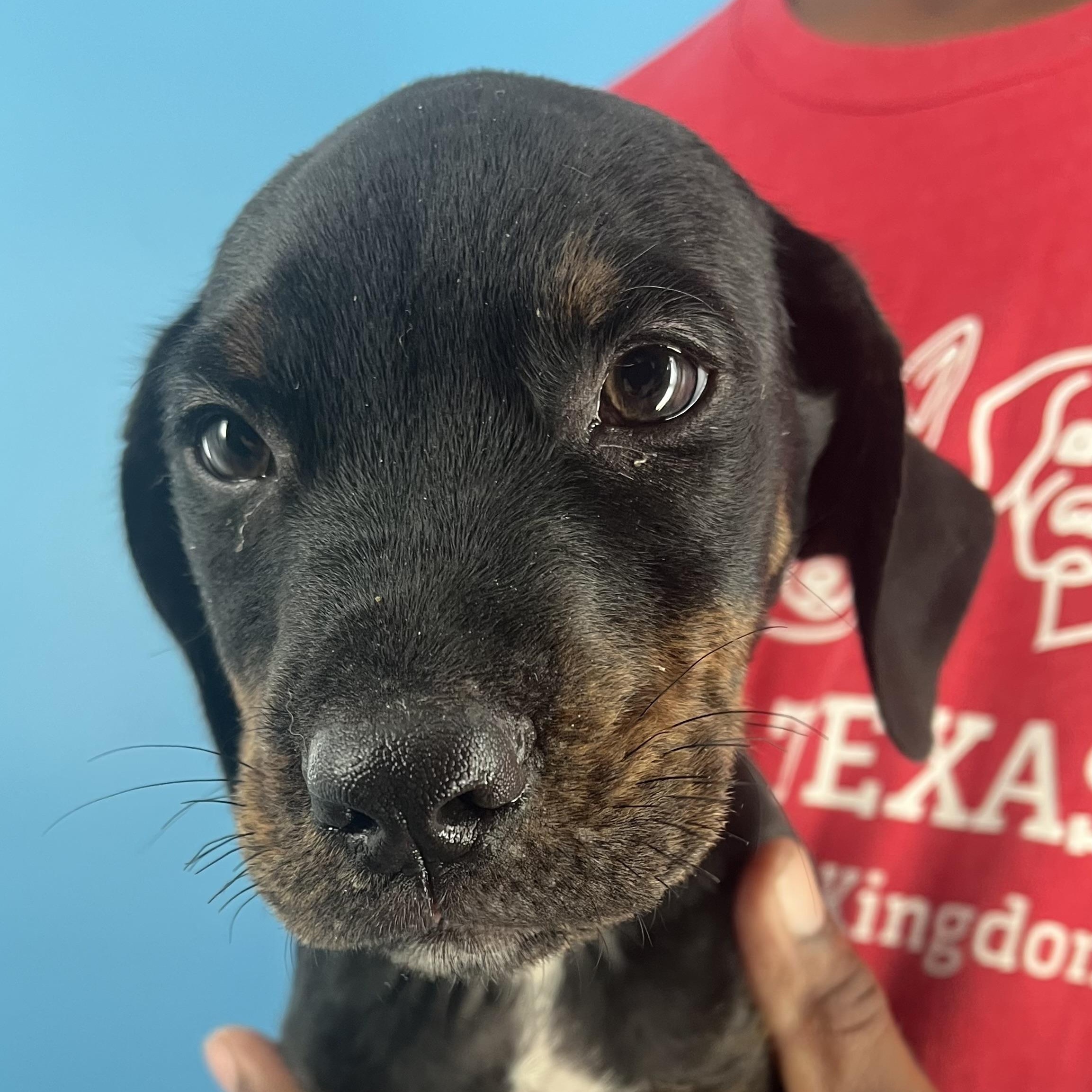 Ragan  Local Oct thumbnail 2