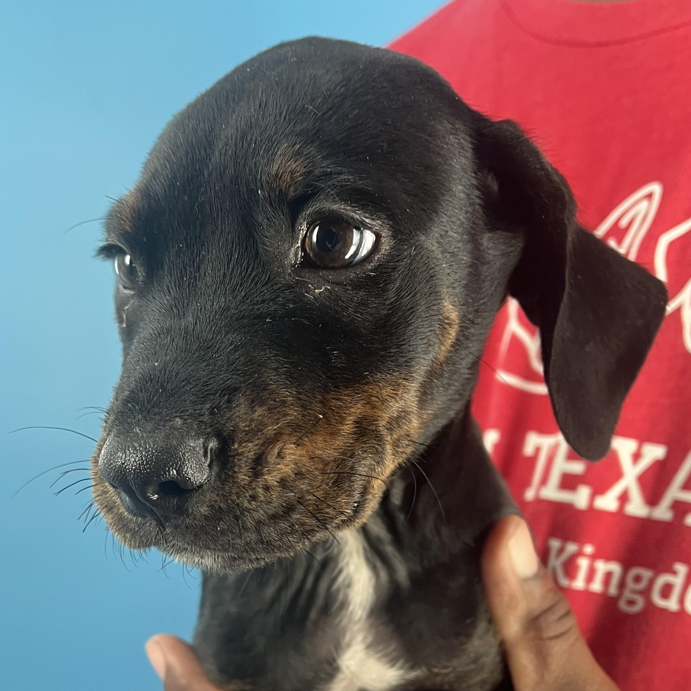 Ragan  Local Oct thumbnail 6