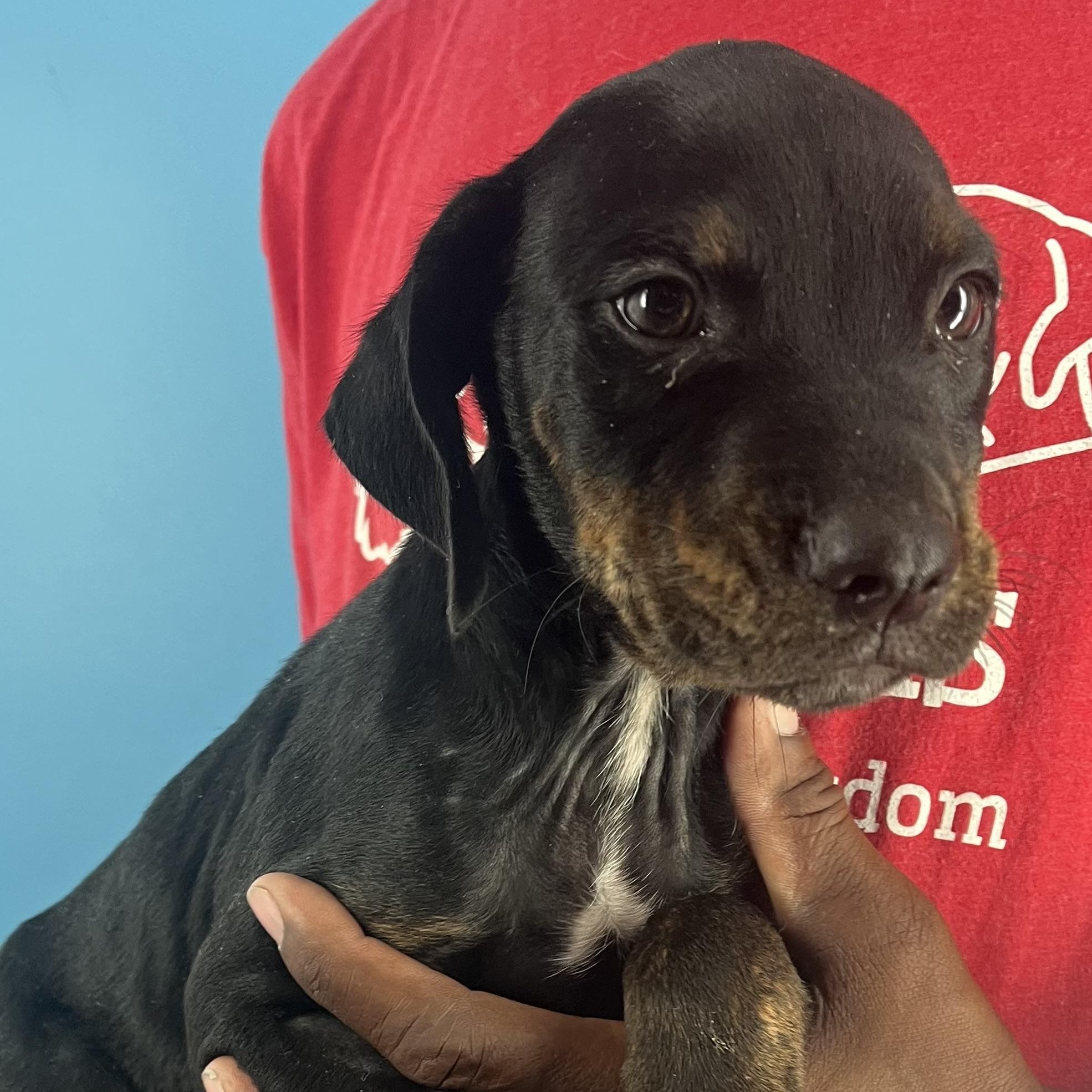 Ragan  Local Oct thumbnail 5