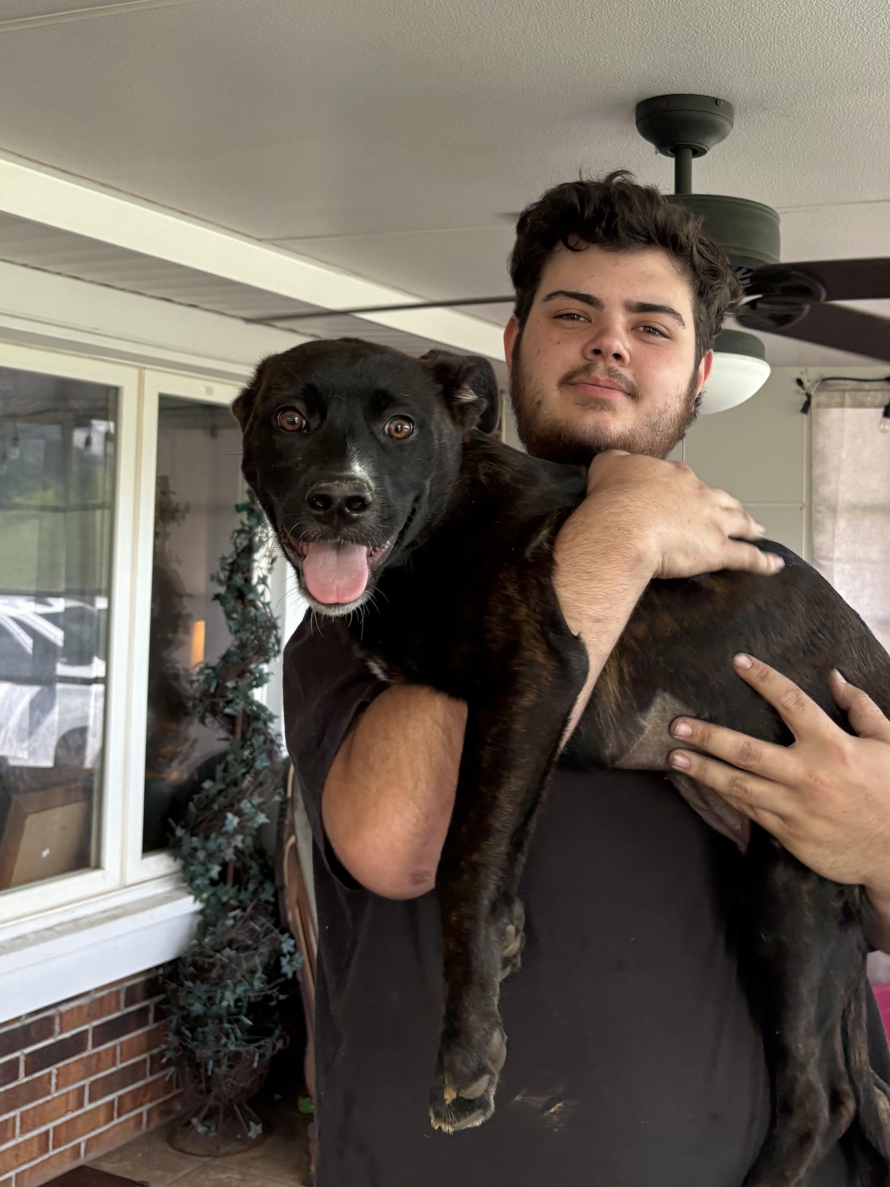 Enlarge Dobby, a ADOPTABLE mixed breed in Floyd, VA image 2/5