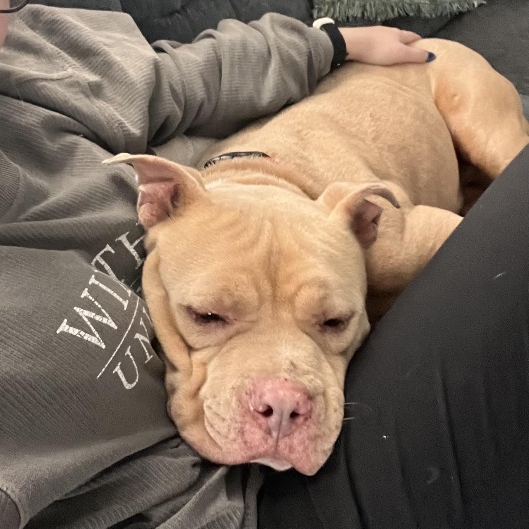 Magic Johnson — thumbnail 4